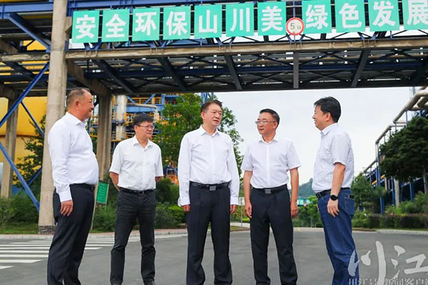 杨林兴：把新型工业化摆在更加突出的位置，让“四化同步”发展的主引擎作用更加凸显